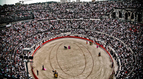 Bullfighting arguments against and action against